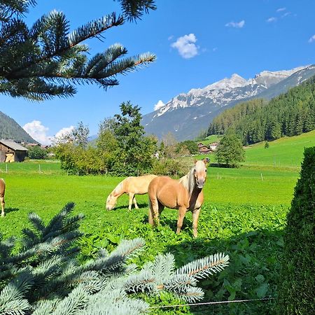 Ferienwohnung Haus Pfeifer Neustift im Stubaital Exterior foto