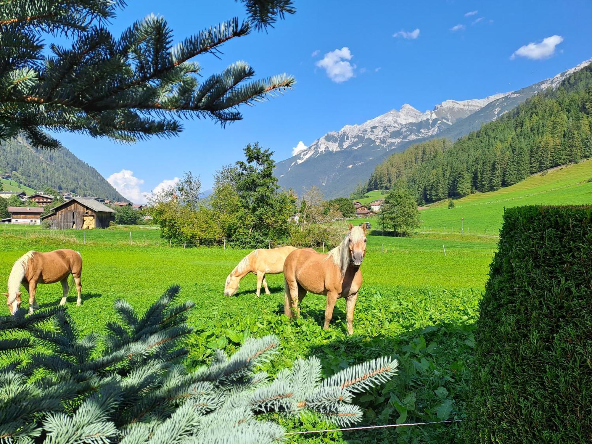 Ferienwohnung Haus Pfeifer Neustift im Stubaital Exterior foto