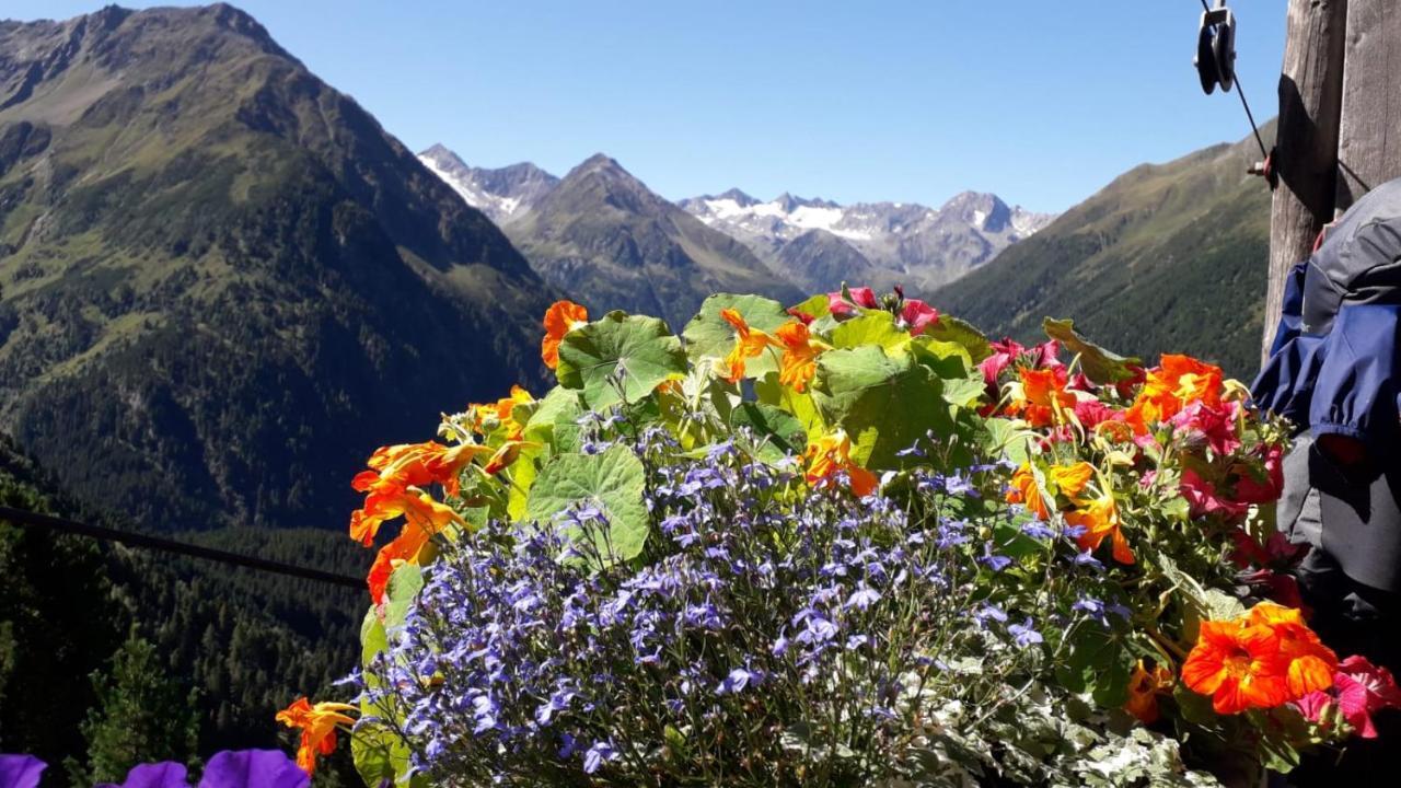 Ferienwohnung Haus Pfeifer Neustift im Stubaital Exterior foto